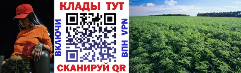 Купить наркотик аптеки Кинешма Кокаин  МЕФ 